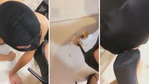 妆主浓痰面包
