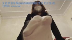 【UU工作室】霸道女总裁踩死贱狗