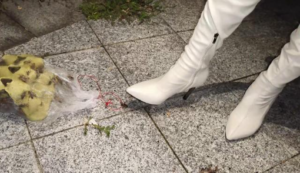 GTS仙宁公主白靴户外踩死一百只蟋蟀(语言丰富)女巨人暴踩逃跑的蟋蟀勇士YC-230901-5-97LZTD-93349.7z