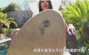 【中文字幕】家畜人生 第一视角被女神嘲讽羞辱的狗奴人生 bf2461--97LZTD-102912