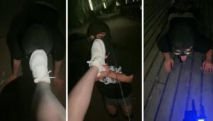 【语阳】户外遛狗驯化人形犬电击-97LZTD-102992