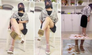 团子 双视角金鱼蛙-97LZTD-103110