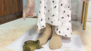 【灵ling】灵妍大鞋码丝足踩吐3牛蛙-97LZTDGXFC-00000313271720