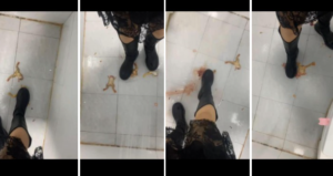 柔柔靴内金蛙踩3只金蛙（第一视角）GTS柔柔女神踩杀金蛙 棉袜皮靴入鞋-97LZTDGXFC-00000313271785