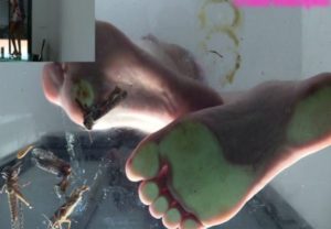 natasha裸足玻璃茶几踩昆虫-97LZTDGXFC-00000313271870