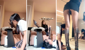 【宇婉莹】网站会员的定制母畜【双视角版】-97LZTDGXFC-00000313271887