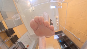 【GTS-VR】学院眼镜少女缩小魔法 白丝玻璃视角-97LZTDGXFC-00000313272152